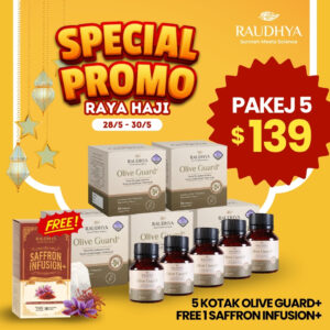 PAKEJ RAYA HAJI